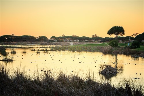 Villa To Rent In Quinta Do Lago